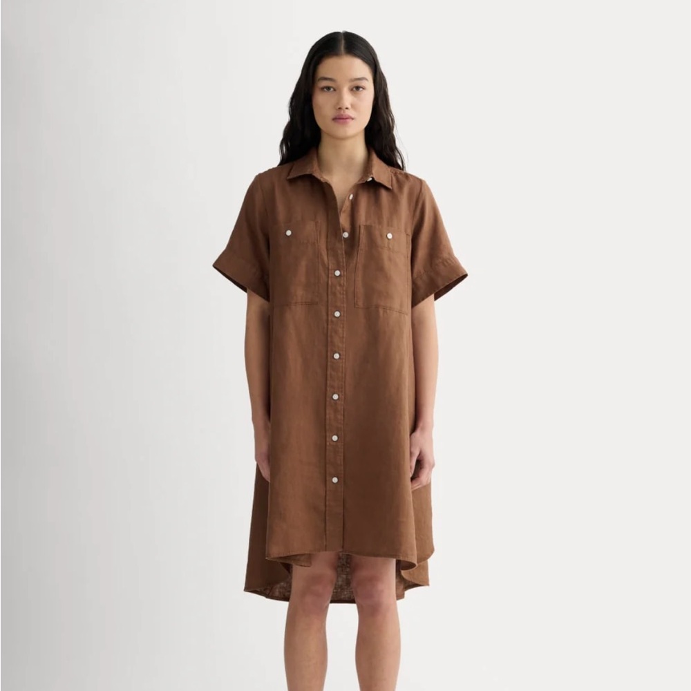 Everlane Linen Day Tripper Dress in Cedarwood